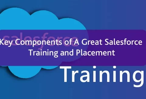 Salesforce Training and Placement