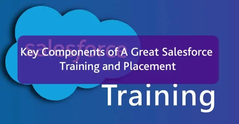 Salesforce Training and Placement